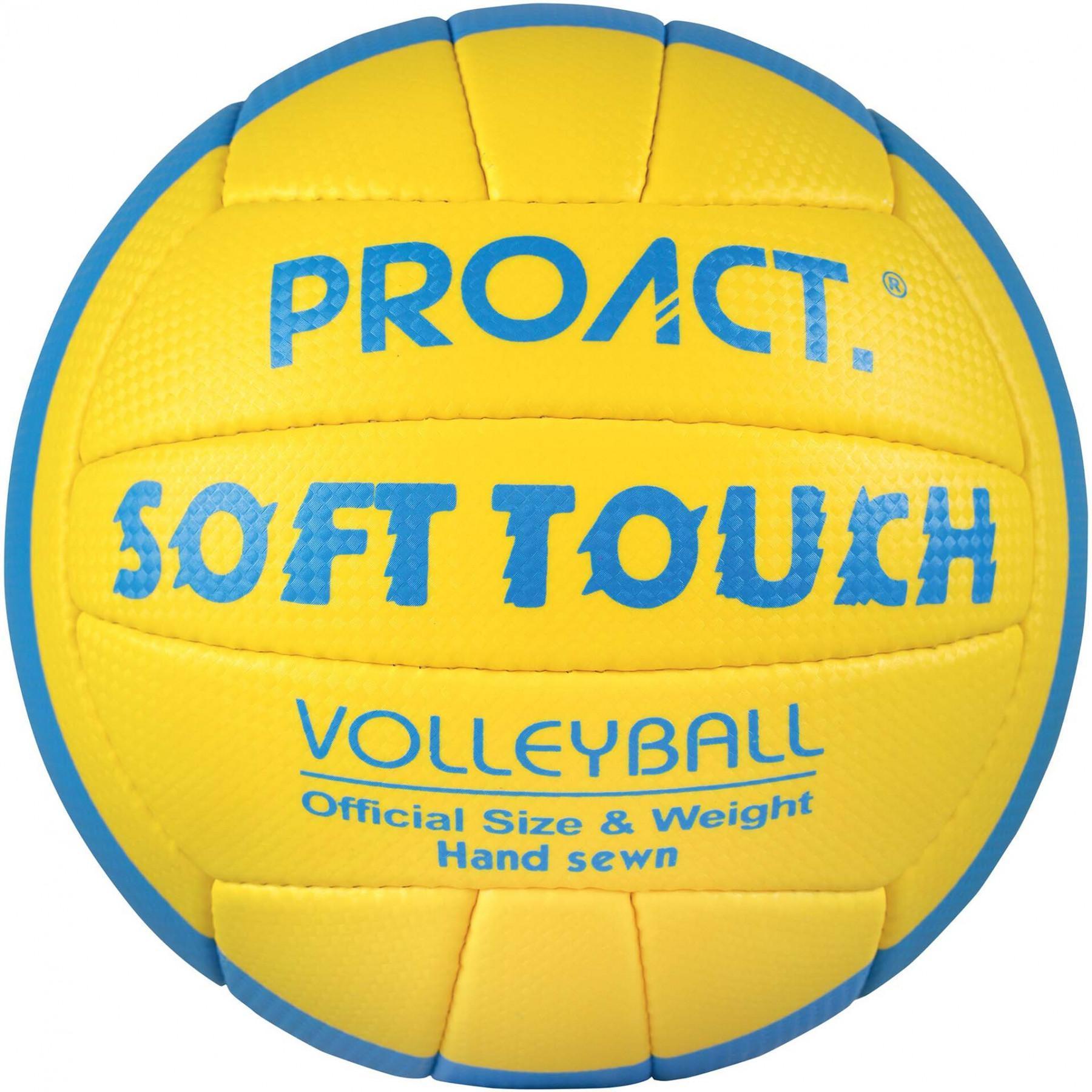 Ballon Volley Proact