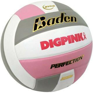 Ballon de volleyball Baden Sports Perfection