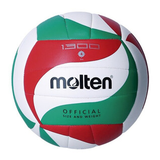 Ballon de voleyball Molten 1300