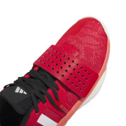 Chaussures indoor adidas Dame 8 Extply