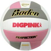 Ballon de volleyball Baden Sports Perfection