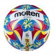 Lot de 5 Ballons Molten Beach-volley 