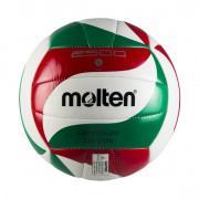 Ballon d'entrainement Molten V5M2501-L