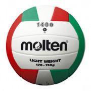 Ballon Molten volleyball