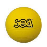 Ballon multisport SEA