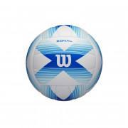 Ballon Wilson Zonal BLUWH